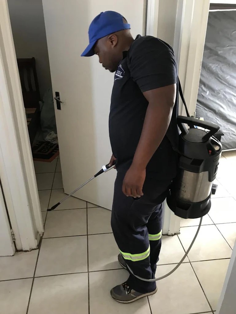 Zenzele Pest Control technician treating an interior skirting board